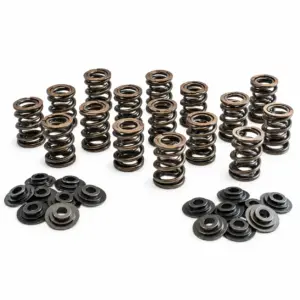 Dual Racing Valve Spring Kit VW 16v (ABF)