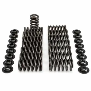 Racing Valve Spring Kit Single VW/Audi EA888