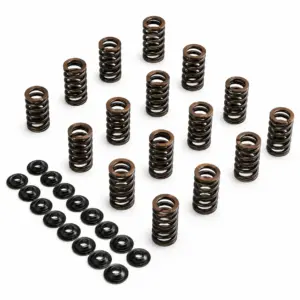 Single Racing Valve Spring Kit VAG EA113