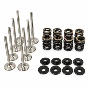 Dual Racing Valve Spring Kit + Valves VW 8v