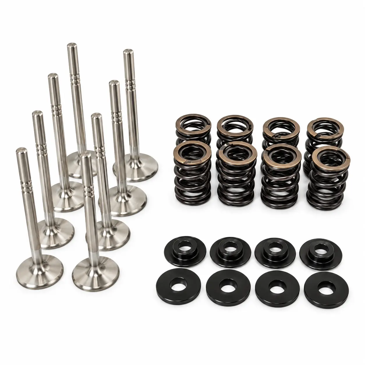 Dual Racing Valve Spring Kit VW 1.8T 20v + Valves ( Exhaust )