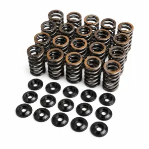 Racing Valve Spring Kit VW Golf 5 GTi