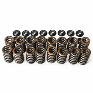 Single Racing Valve Spring Kit Ford ST150/170