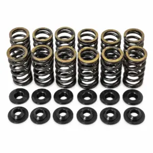 Racing Valve Spring Inlet Audi 1.8T