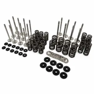 Racing Valve Spring Kit + Forged Valves Audi 1.8T 20v